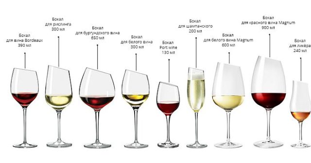 Виды бокалов для вина