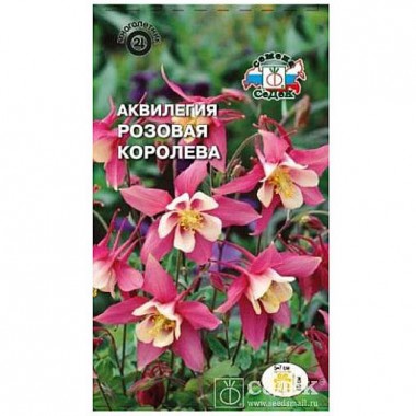 Семена цветов Аквилегия Розовая Королева (гибридная) Седек — Городок мастеров