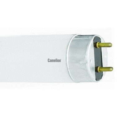 Лампа люминисцентная Camelion FT8-36W/54 Daylight (6500K 36 Ватт) — Городок мастеров