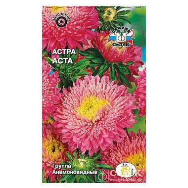 Семена цветов Астра Аста (помпонная светло-розовая) Седек — Городок мастеров