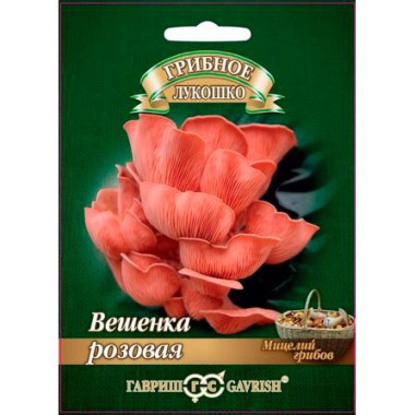Мицелий грибов Вешенка Розовая Гавриш — Городок мастеров