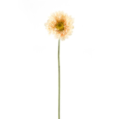 Цветок искусственный NG Гербера кремовая 57см — Городок мастеров