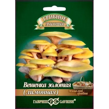 Мицелий грибов Вешенка Золотая лимонная Гавриш — Городок мастеров