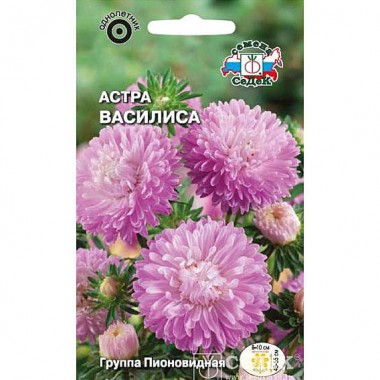 Семена цветов Астра Василиса (пионовидная, розовая) Седек — Городок мастеров