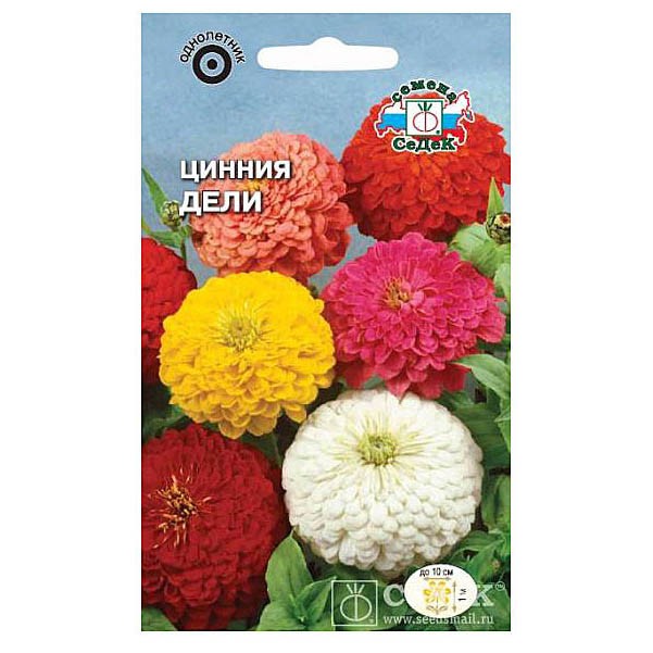 Цинния дели