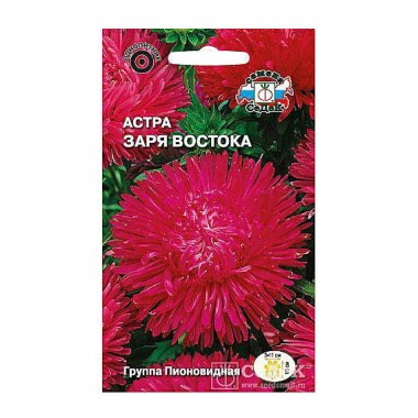 Семена цветов Астра Заря Востока (пионовидная, рубиново-красная) Седек — Городок мастеров