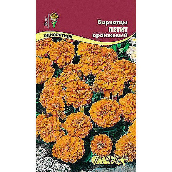 Авито Семена Бархатцев Купить