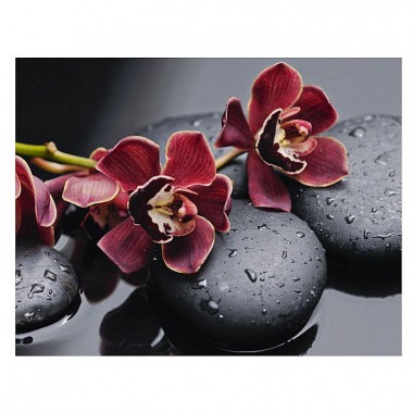 Картина Орхидея на камнях 30х40 см в раме Мастер Рио Ц-427 1/4пл — Городок мастеров