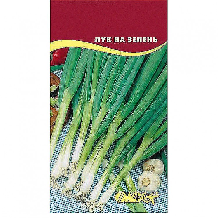 Какой Лучше Купить Лук На Перо