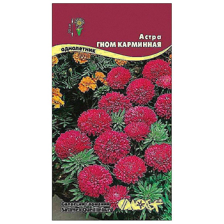 Сортовые Семена Купить В Москве