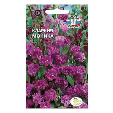 Семена Кларкия Моника (пурпурно-фиолетовая) — Городок мастеров