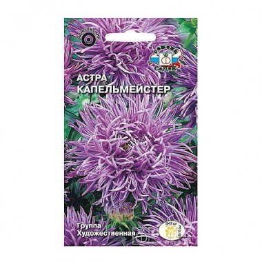 Семена цветов Астра Капельмейстер (хризантема, темно-фиолетовая) Седек — Городок мастеров