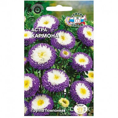 Семена цв Астра Кармона (помпонная, тёмно-синяя) — Городок мастеров