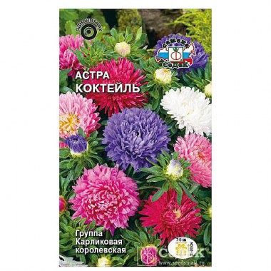 Семена цветов Астра Коктейль (карлик королевская, смесь цветов)Седек — Городок мастеров