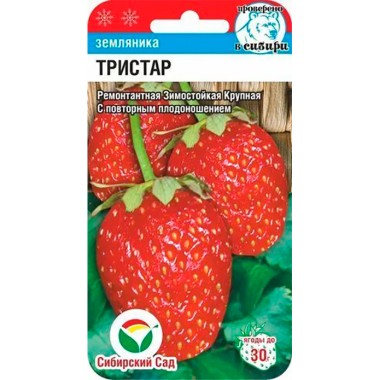 Семена Земляника Тристар 10шт — Городок мастеров
