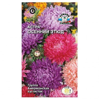 Семена цветов Астра Осенний этюд (американская.кустистая, смесь) Седек — Городок мастеров