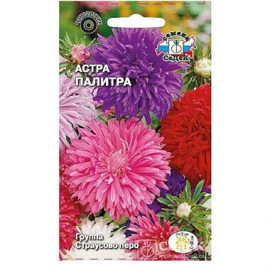 Семена цветов Астра Палитра (страусово перо, смесь) Седек — Городок мастеров
