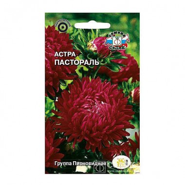 Семена цветов Астра Пастораль (пионовидная, темно-бордовая) Седек — Городок мастеров