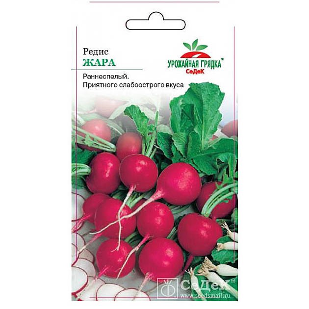 Семена Редиска Из Голландии Купить На Валберис
