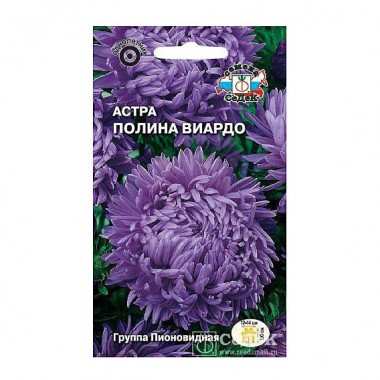 Семена цветов Астра Полина Виардо (пионов., т-серебр-фиолетовая) Седек — Городок мастеров