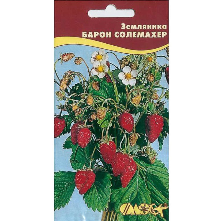Земляника Лесная Семена Купить