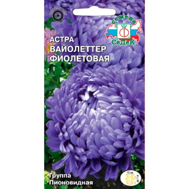Семена цветов Астра Вайолеттер фиолетовая (пионовидная, фиолетовая) Седек — Городок мастеров