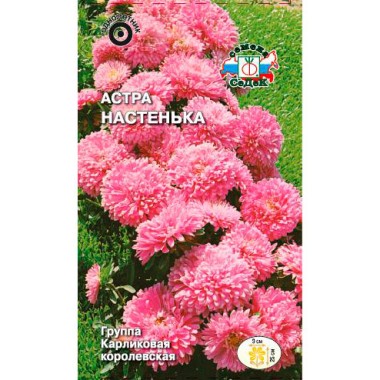 Семена цветов Астра Настенька королевская  (карликовая, нежно-розовая) Седек — Городок мастеров