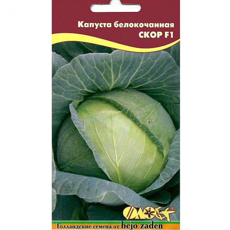 Капуста Семена Поздние Сорта Купить