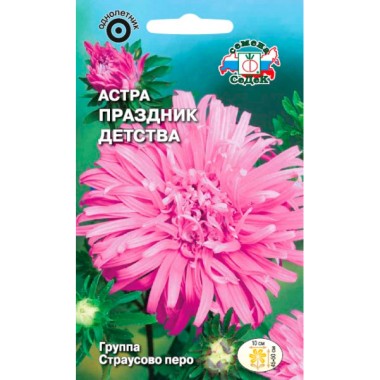 Семена цветов Астра Праздник детства (страус. перо, сиреневая) Седек — Городок мастеров