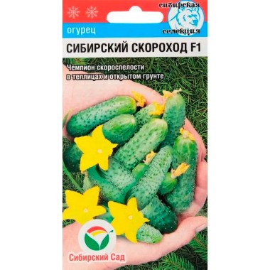 Семена Огурец Сибирский скороход 7 шт Сибирский сад — Городок мастеров
