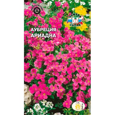 Семена цветов Аубреция Ариадна (розово-лиловая) Седек — Городок мастеров