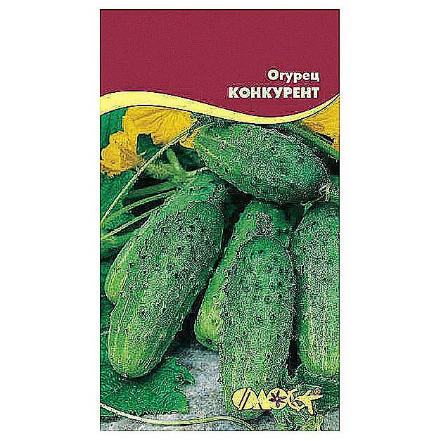 Огурцы конкурент фото описание. Семена огурец конкурент. Семена огурец конкурент 5гр. Аэлита огурец конкурент. Семена огурец конкурент 10шт.