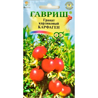 Семена цветов Гранат карликовый Карфаген Гавриш — Городок мастеров