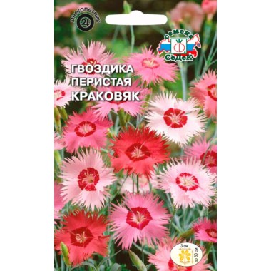 Семена цветов Гвоздика Краковяк (вид перистая, смесь розовых тонов) Седек — Городок мастеров