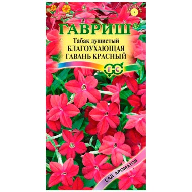 Семена цветов Табак Благоухающая гавань красный Гавриш — Городок мастеров