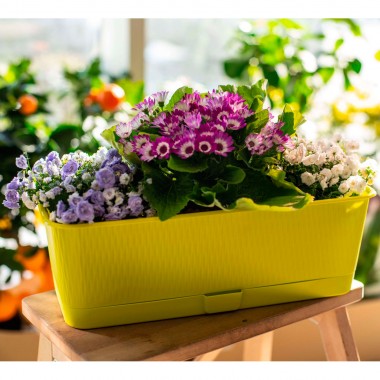 Ящик балконный цветочный пластик 9,5 л &quot;Прованс&quot; 60х17х13 см, с поддоном, цвет фисташковый — Городок мастеров