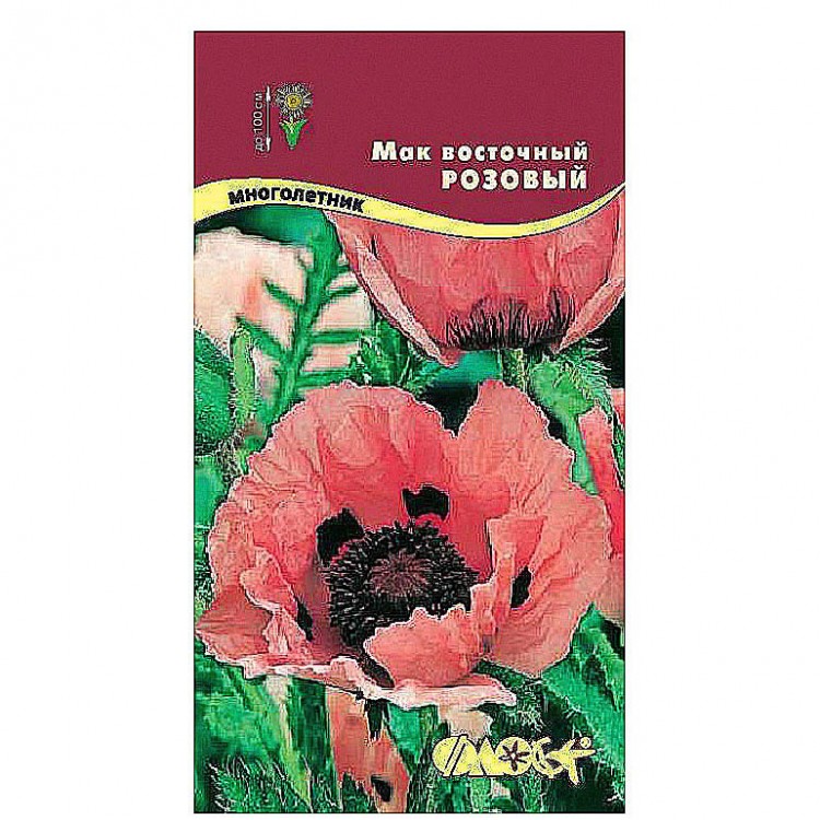 Мак Восточный Многолетний Купить Семена
