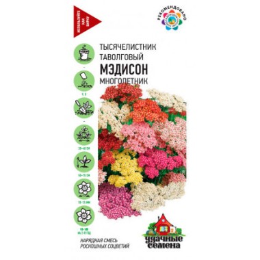 Семена цветов Тысячелистник Мэдисон смесь Гавриш — Городок мастеров