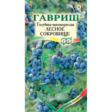 Семена ягода Голубика Лесное сокровище высокая — Городок мастеров