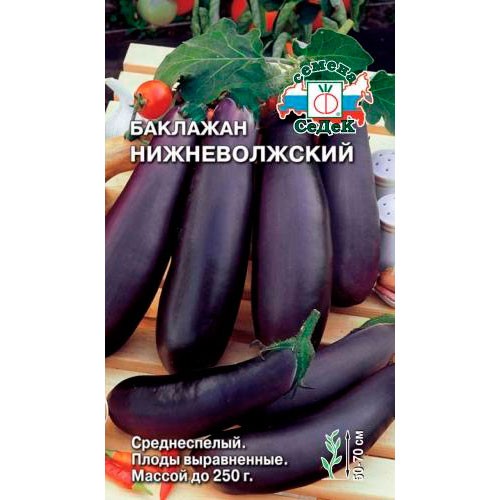 Баклажан Валентина Описание Сорта Фото Отзывы