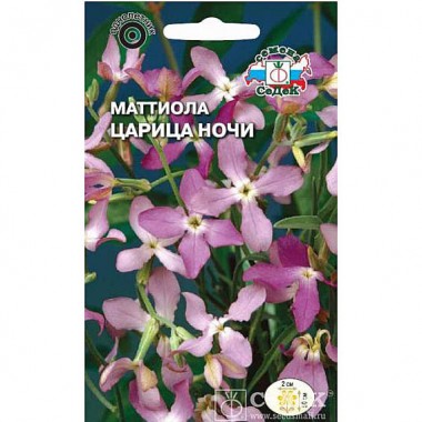 Семена цветов Маттиола Царица Ночи (двурогая) Седек — Городок мастеров