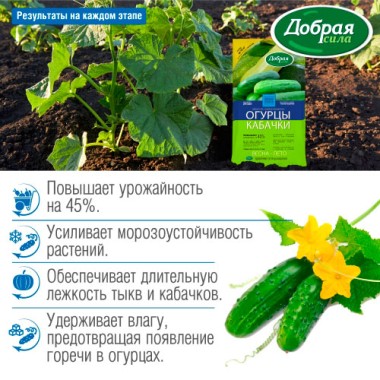 Удобрение орган/комп Огурцы-кабачки 0.9кг(1/12) — Городок мастеров