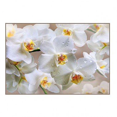 Фотообои Белая орхидея 196х134 cм — Городок мастеров
