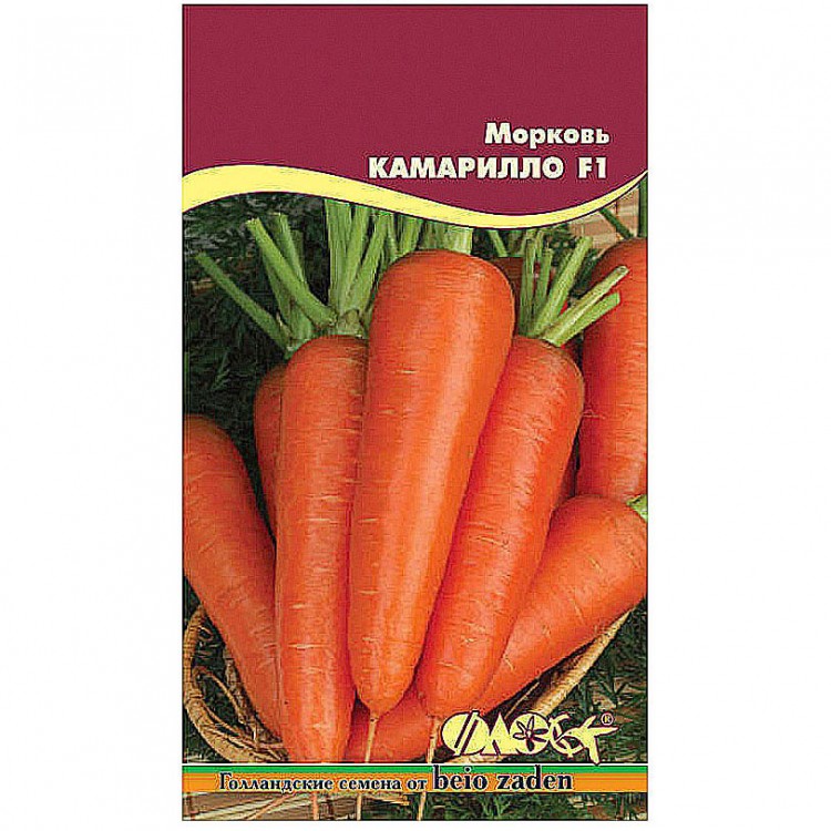 Купить Голландские Семена Морковь