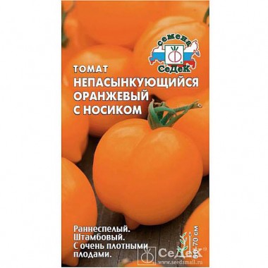 Семена Томат Непасынкующийся Оранжевый с носиком Седек — Городок мастеров