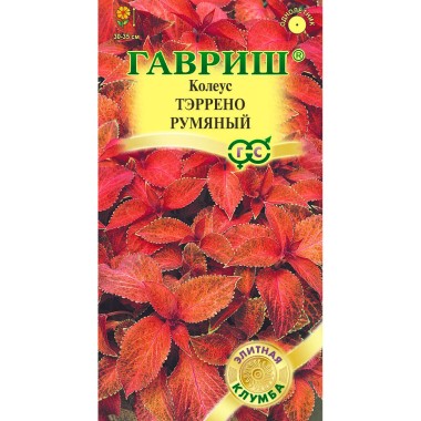 Семена цветов Колеус Тэррено румяный Гавриш — Городок мастеров