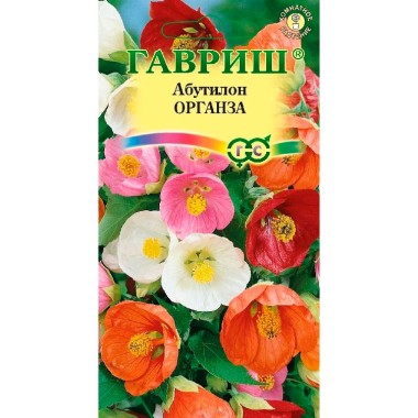 Семена цветов Абутилон Органза Гавриш — Городок мастеров