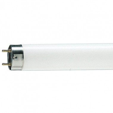 Лампа люминисцентная TL-D 18W/33 холодно-бел d26/G13/600 Philips — Городок мастеров