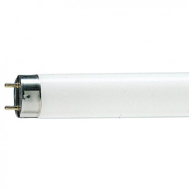 Лампа люминисцентная TL-D 18W/54 дн d26/G13/600 Philips — Городок мастеров