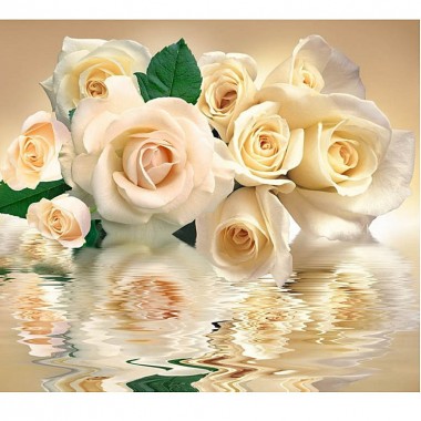 Фотообои Белые розы 294х260 cм — Городок мастеров
